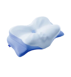 Derila ERGO ergonomic support pillow for neck and back
